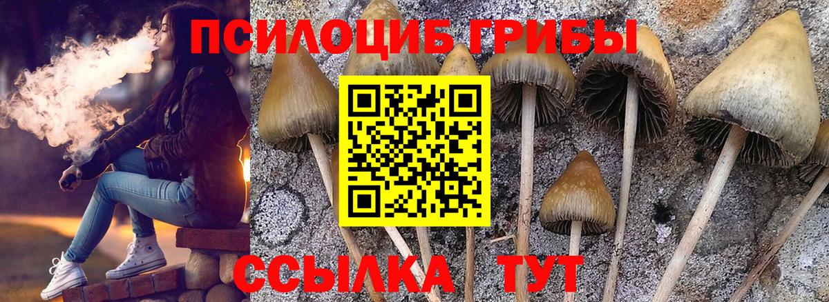 Вольск  Галлюциногенные грибы мухоморы  Псилоцибиновые грибы MAGIC MUSHROOMS  магазин  наркотиков  Вход с VPN 