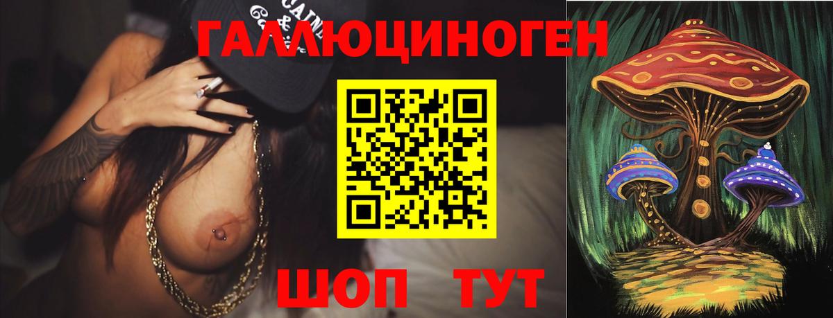 Псилоцибиновые грибы GOLDEN TEACHER Вольск